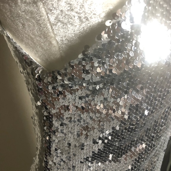 Sliver Sequined Mini - Picture 5 of 8